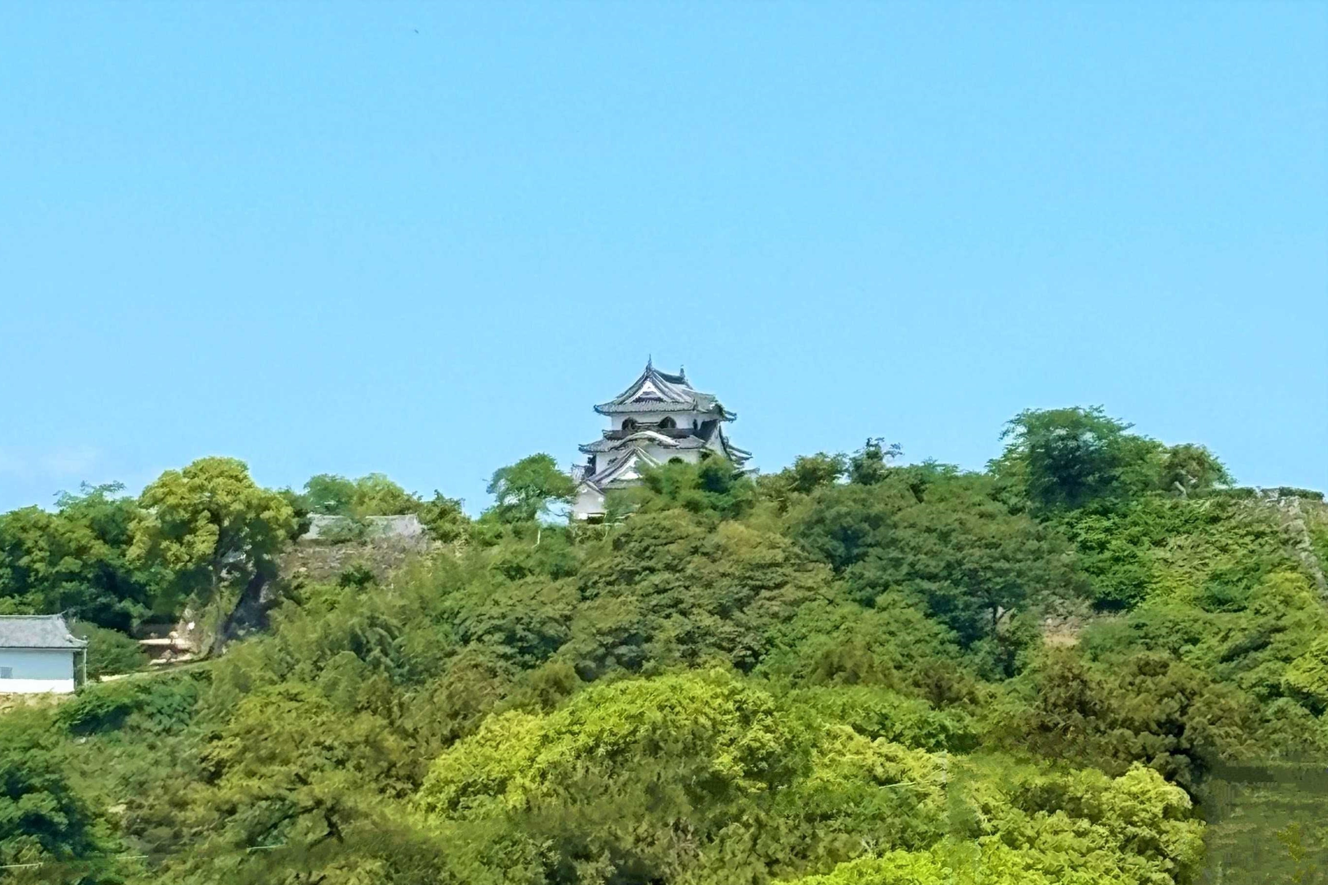 オフィスから望む彦根城