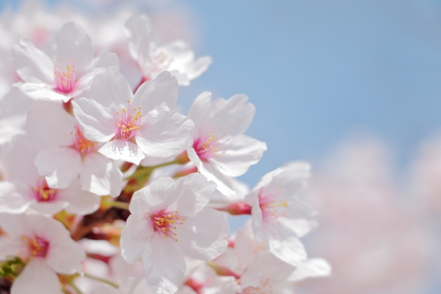 『2026年1月1日付 組織変更、主要人事に関するお知らせ』