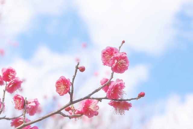 『2026年1月1日付 執行役員人事に関するお知らせ』