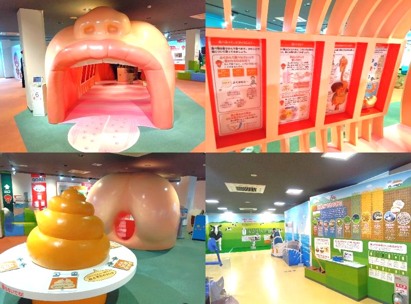 館内施設「人体トンネル」では楽しく体のしくみと健康を学べます✨